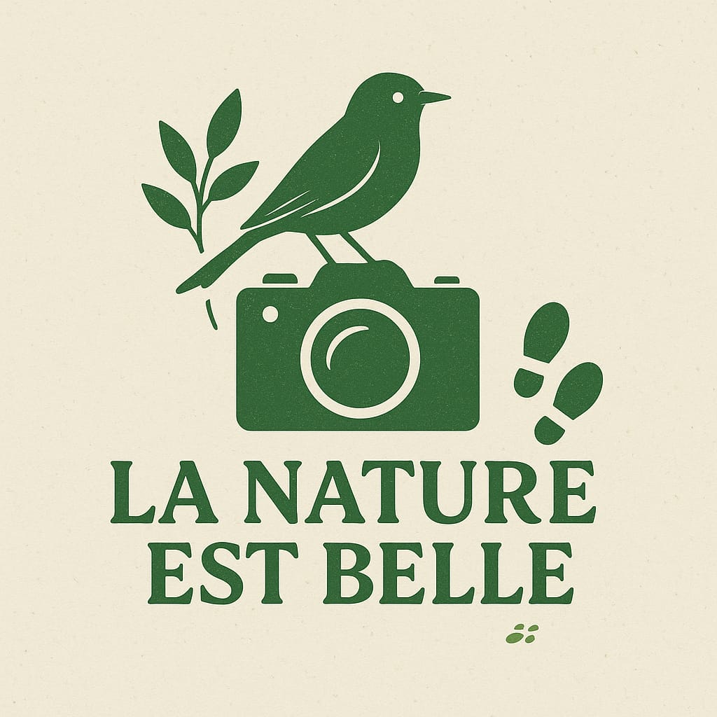 la nature est belle