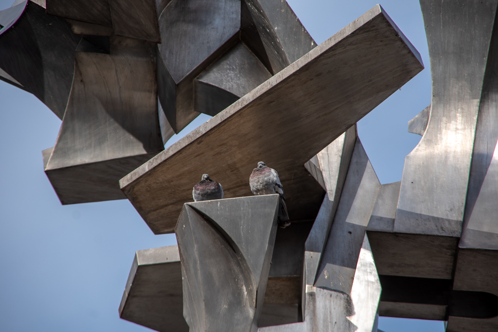 Deux pigeons perchés sur une imposante sculpture métallique urbaine, contraste entre la nature vivante et l'architecture moderne - projet 52 - semaine 37, la nature est belle.