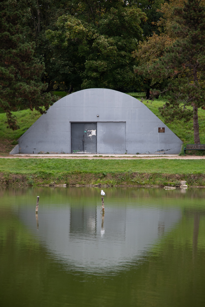 Une mouette posée sur un piquet au milieu d'un plan d'eau, devant un bâtiment gris en forme de dôme dont le reflet se dessine dans l'eau. Photo de la semaine 40 du projet 52 - La nature est belle, illustrant la cohabitation entre architecture humaine et vie sauvage.